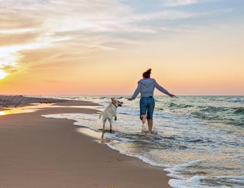 Isle of Palms winter rentals